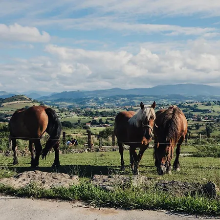 Niditas Premium & Santillana del Mar