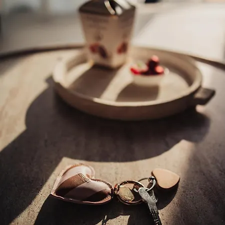 Διαμέρισμα Niditas Premium & *