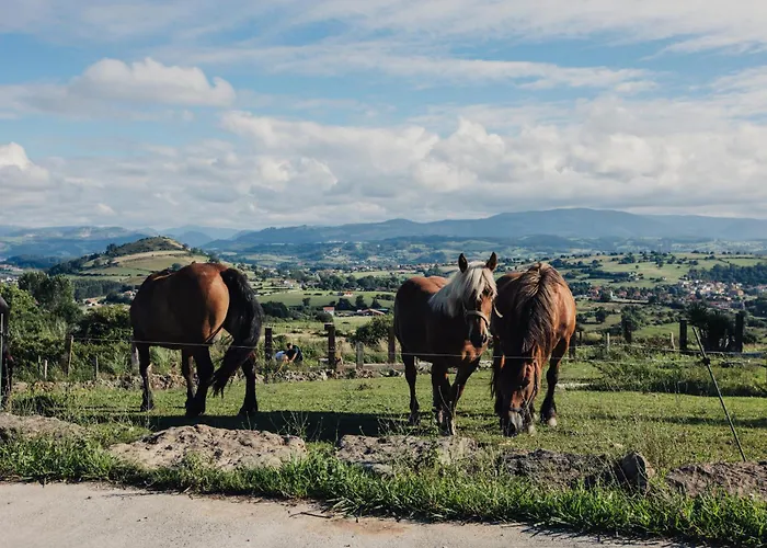 Niditas Premium & Santillana del Mar