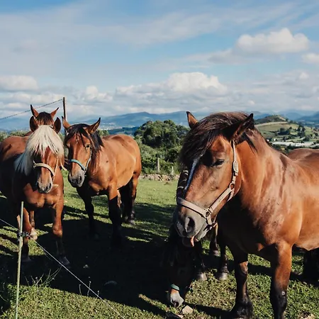 公寓 Niditas Premium & 桑提亚纳德玛