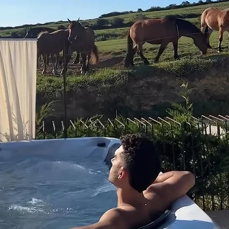 Niditas Premium & 桑提亚纳德玛