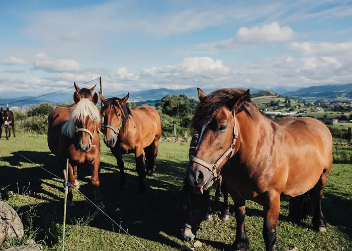 Apartamento Niditas Premium & Santillana del Mar