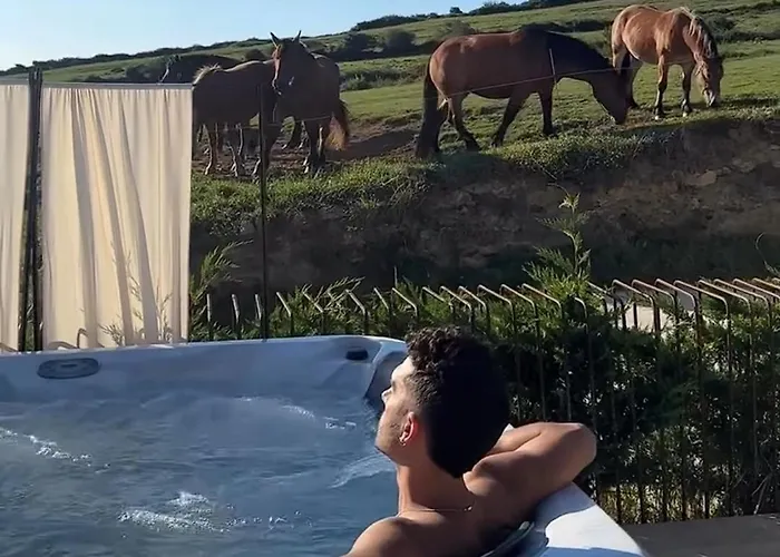 Niditas Premium & Santillana del Mar